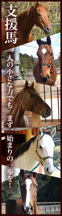 支援馬について