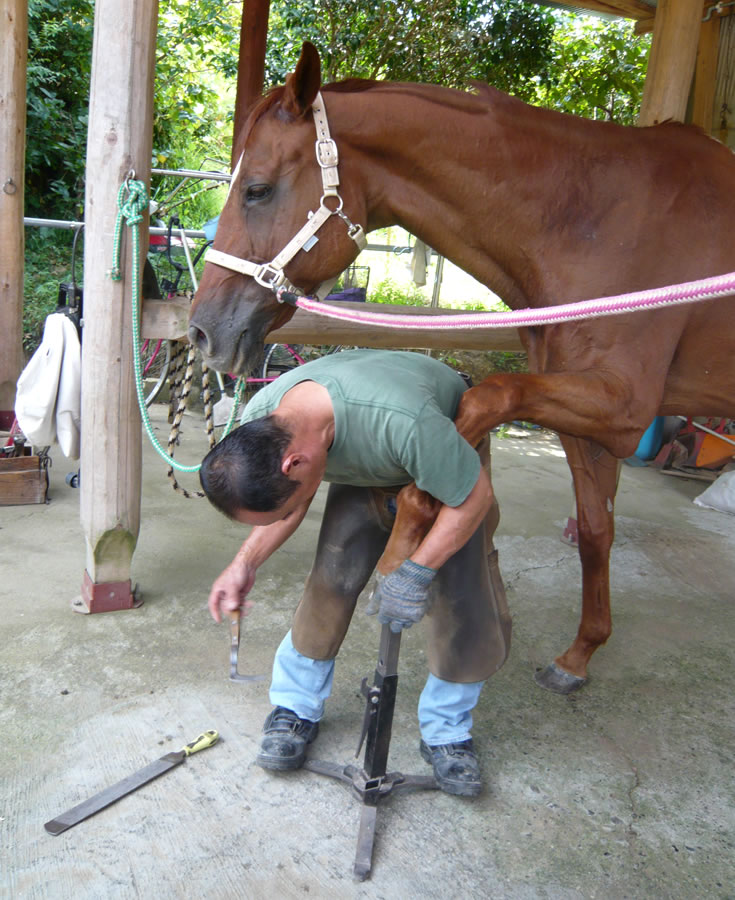 預託について NPO法人あしずりダディー牧場命の会
