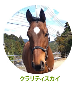 クラリティスカイ