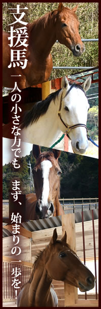 支援馬 について