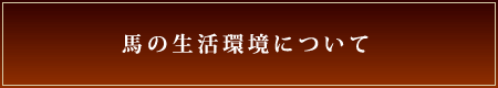 馬の生活環境について