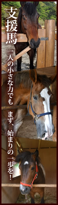 支援馬 について