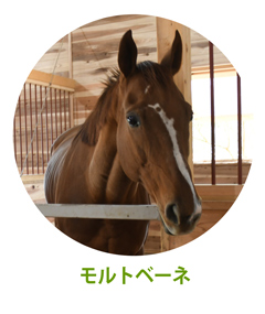 モルトベーネ
