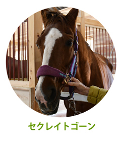 セクレイトゴーン