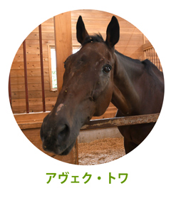 アヴェク・トワ