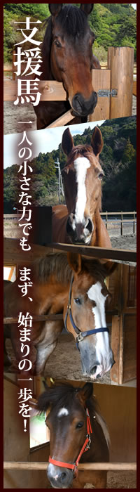 支援馬 について