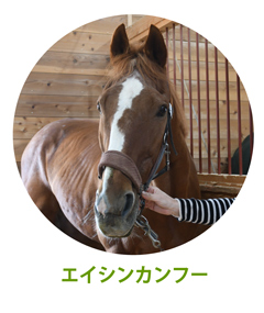 エイシンカンフー