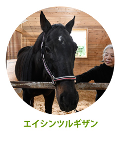 エイシンツルギザン