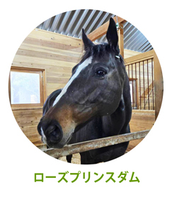 ローズプリンスダム